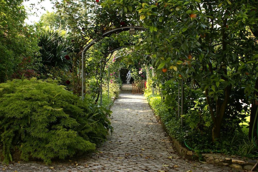 Quinta De Sao Lourenco Anadia Εξωτερικό φωτογραφία