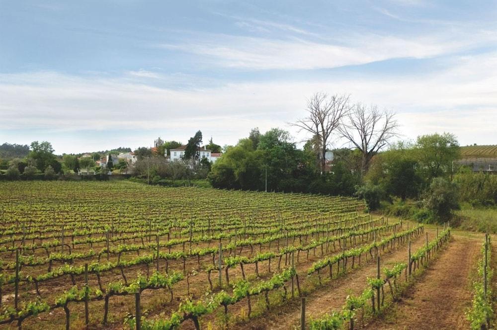 Quinta De Sao Lourenco Anadia Εξωτερικό φωτογραφία