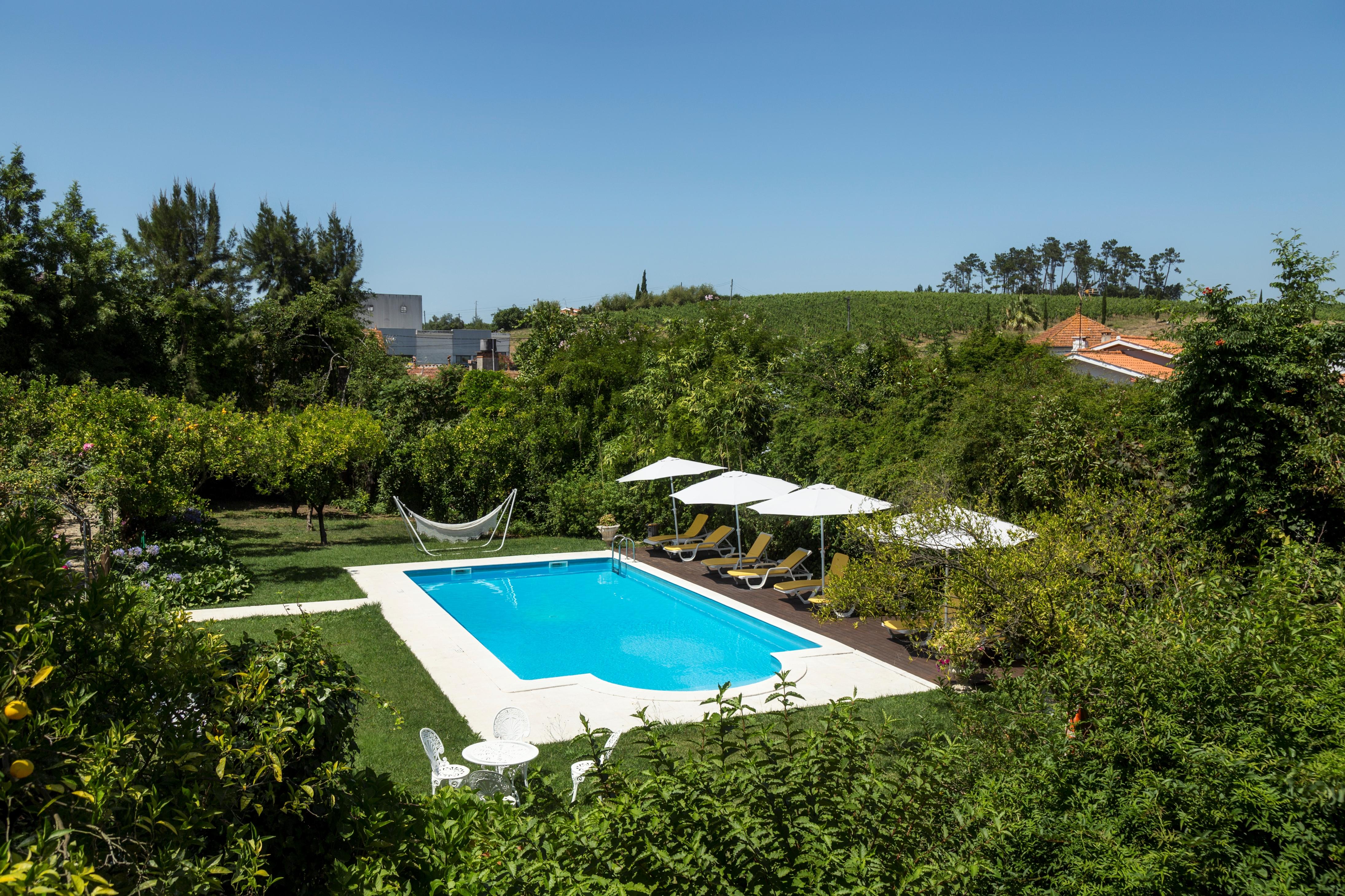 Quinta De Sao Lourenco Anadia Εξωτερικό φωτογραφία