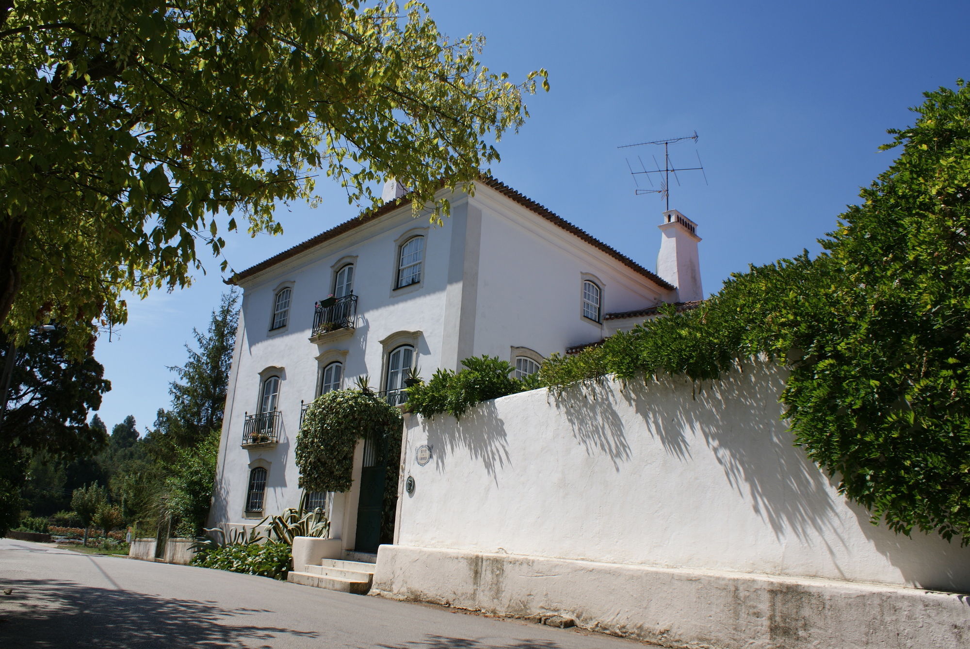 Quinta De Sao Lourenco Anadia Εξωτερικό φωτογραφία