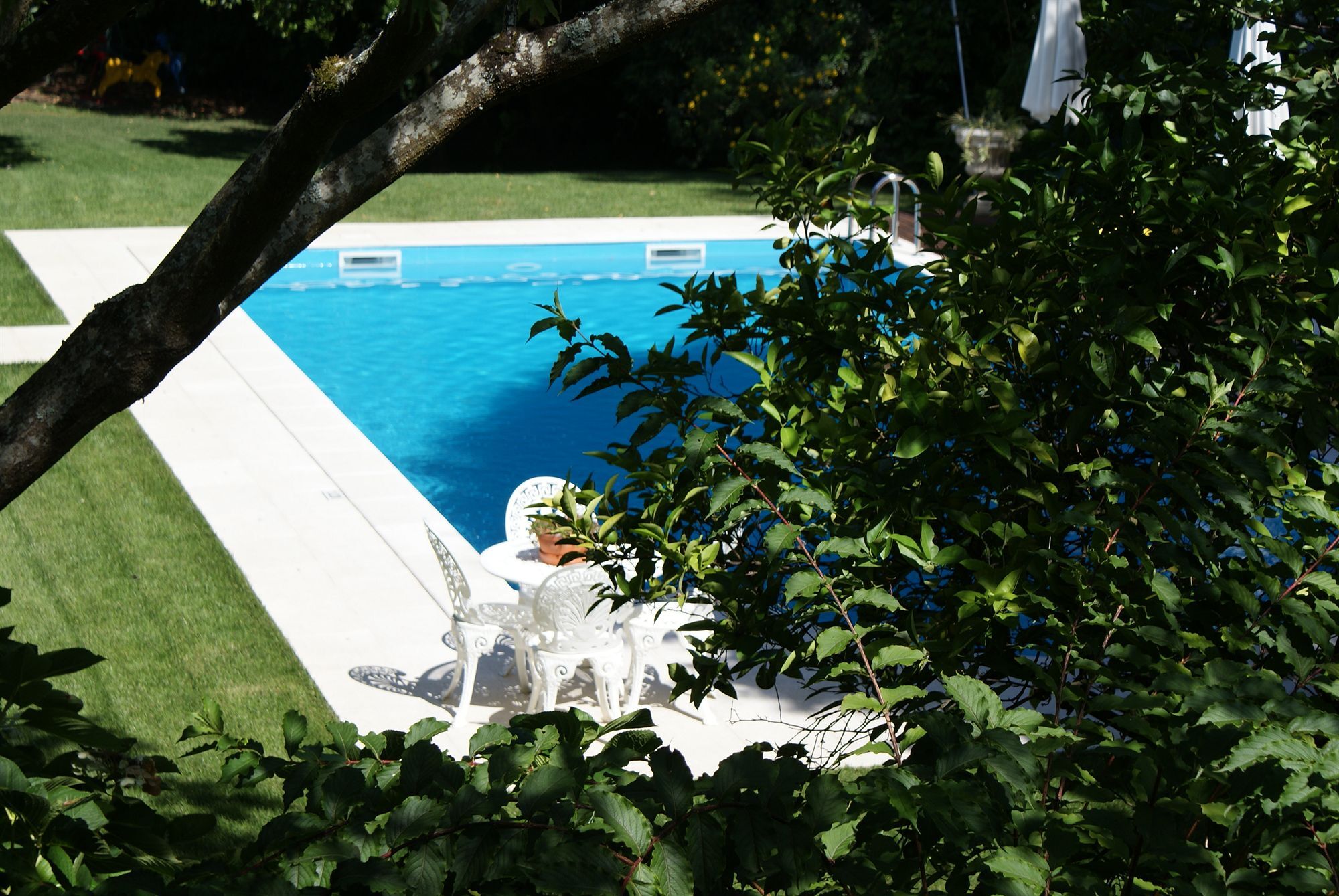 Quinta De Sao Lourenco Anadia Εξωτερικό φωτογραφία